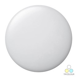 LEDVANCE 20W COOL WHITE CEILING OYSTER 4058075802384